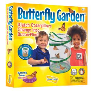 Insect Lore