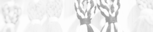 nyn-w23-artisan-resource-img