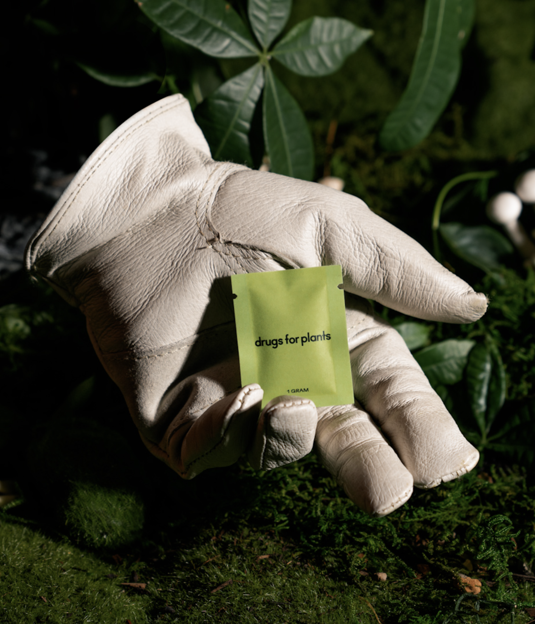 DRUGS FOR PLANTS Love Bubby homepage make good