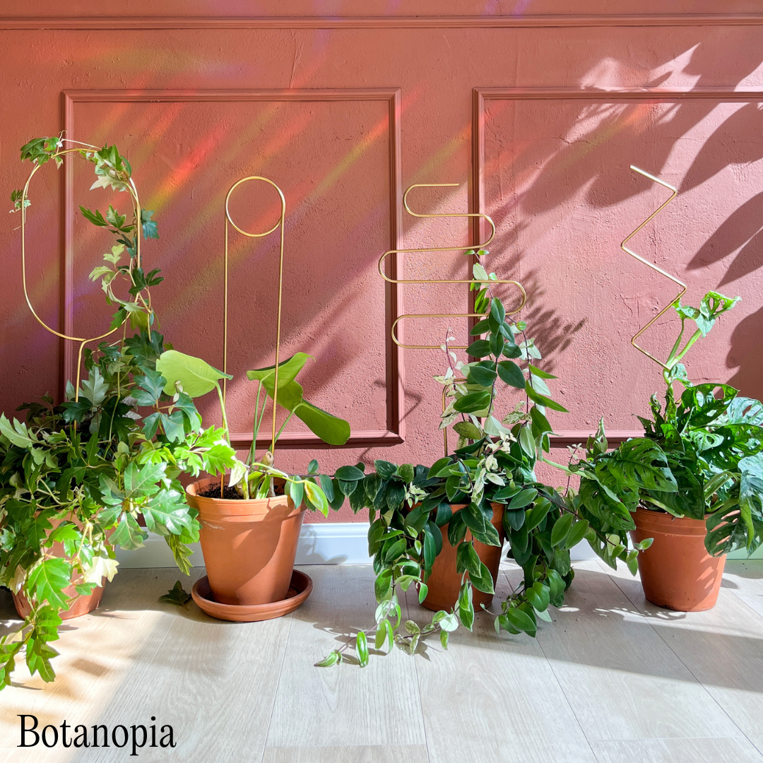 Planters with a brick red background