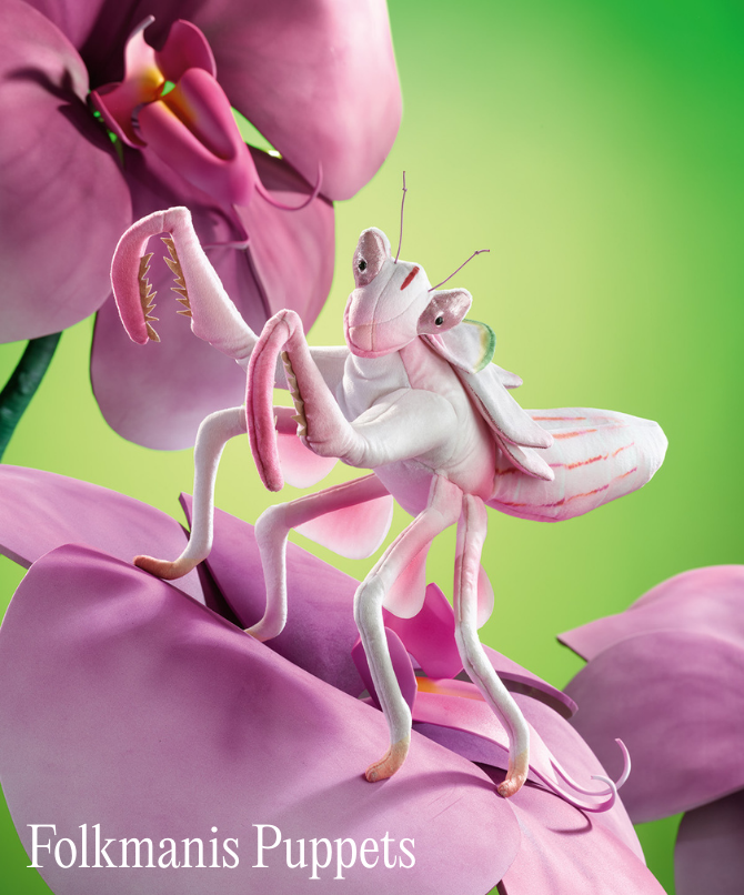A pink preying mantis puppet